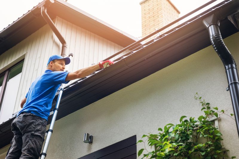Gutter and Roof Inspection