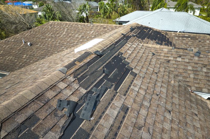 Roof Repair and Maintenance